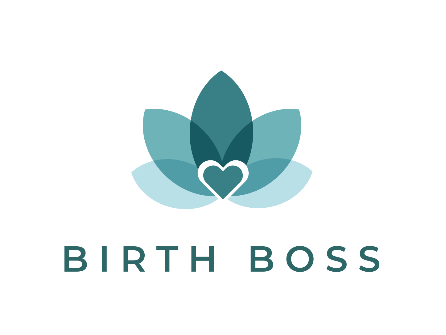 Birth Boss logo