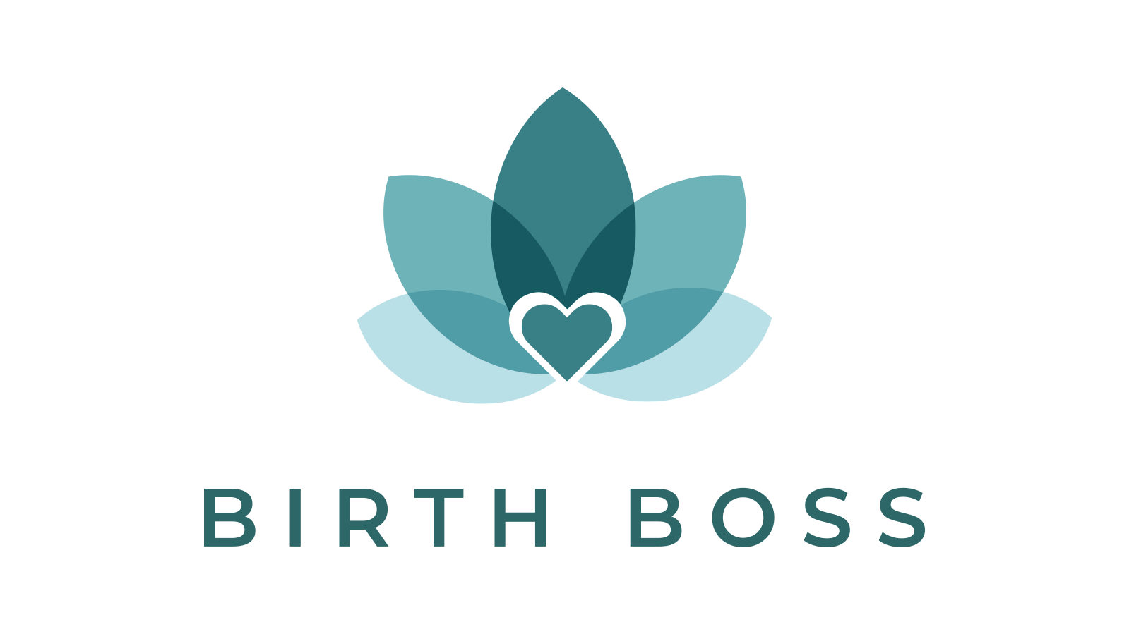 birth boss logo